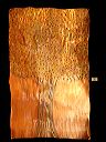"Copper Tree Of Life", Original Torch Painted Copper - Jason Mernick